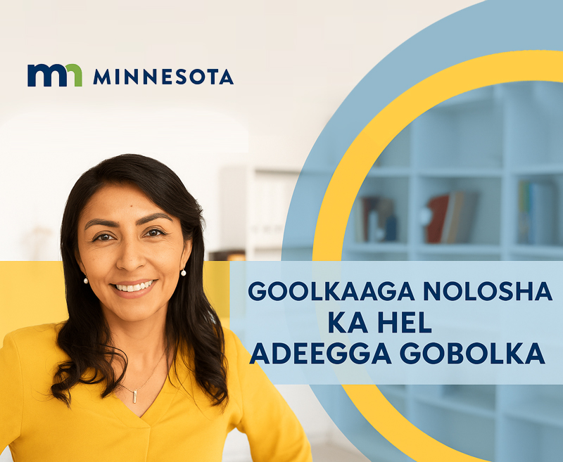 Sawirka muuqaalka mustaqbalka ee Ka Shaqaynta Dowladda Gobolka 