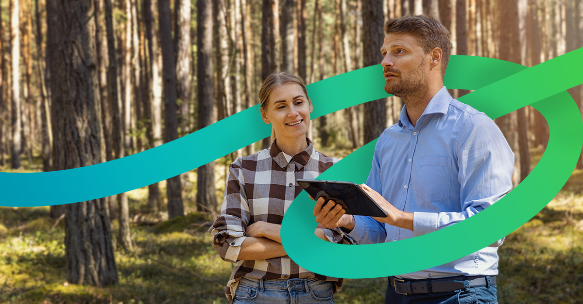 Two people using a tablet in the woods